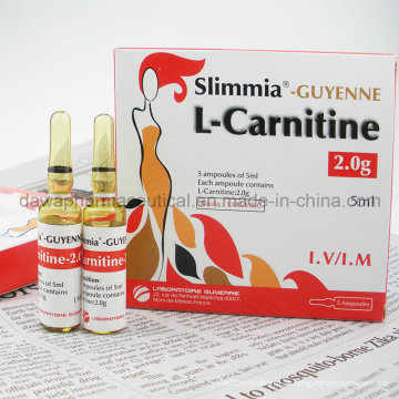 Alta qualidade da injeção de L-carnitina para o corpo emagrecimento e perder peso emagrecimento